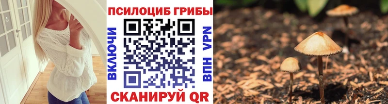 наркотики Пестово Псилоцибиновые грибы Cubensis